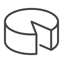 wheel cheese icon